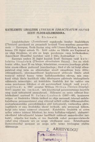 Katelehitu linalehik (Thesium ebracteatum hayne) eesti flooraelemendina