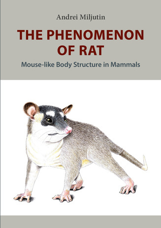 The phenomenon of rat : mouse-like body structure in mammals 