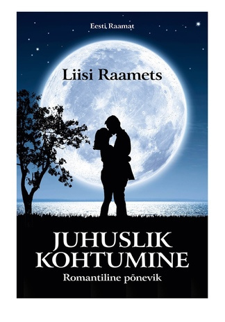 Juhuslik kohtumine : romantiline põnevik 