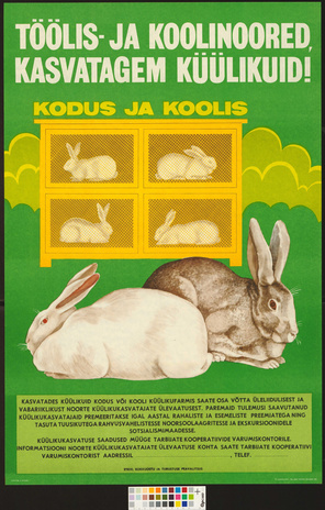 Töölis- ja koolinoored, kasvatagem küülikuid! 