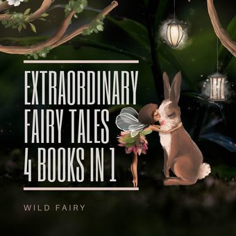 Extraordinary fairy tales : 4 books in 1 